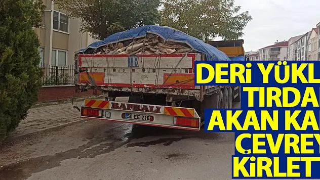 Deri yüklü tırdan akan kan çevreyi kirletti