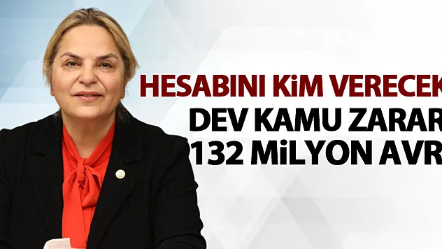 Dev kamu zararı: 132 Milyon Avro