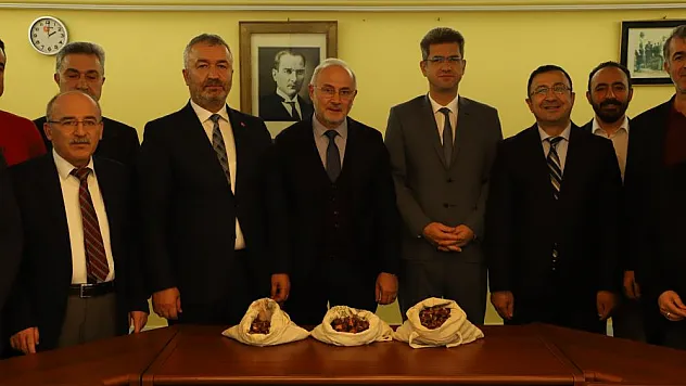 19 Mayıs'a 'kestane ormanı' kurulacak