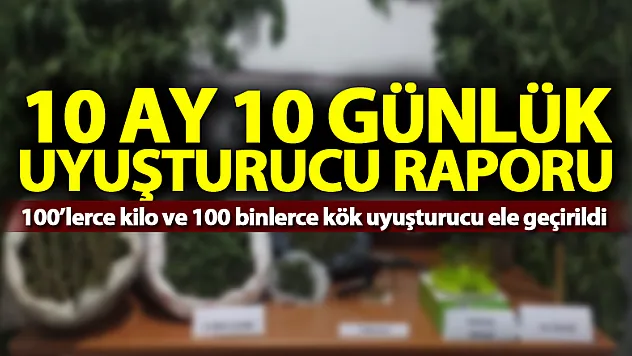 Samsun'un 10 ay 10 günlük uyuşturucu raporu: 100'lerce kilo ve 100 binlerce kök uyuşturucu ele geçirildi
