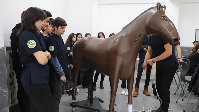 Konuşan maket at ve sığır ile hem eğleniyorlar hem öğreniyorlar