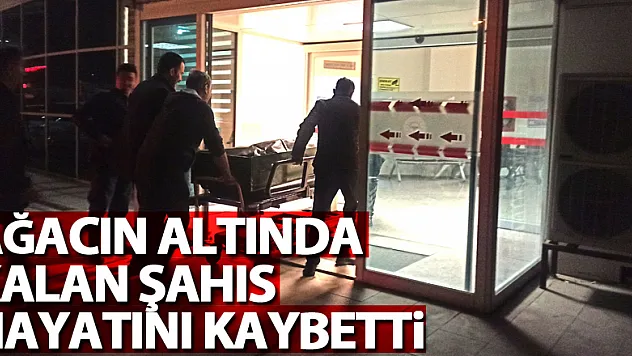 Ağacın altında kalan şahıs hayatını kaybetti