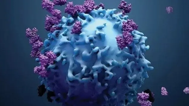 Mevsim geçişleri hasta etmesin