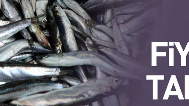 Hamsinin fiyatı düştü, talep azaldı