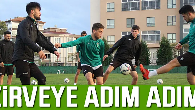 Zirveye Adım Adım