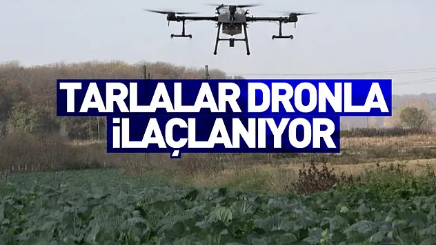 Tarlalar dronla ilaçlanıyor
