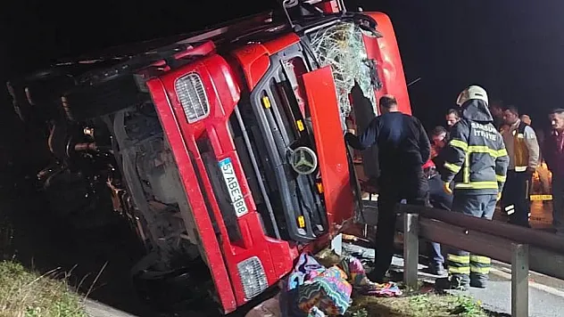 Tomruk yüklü kamyon devrildi: 1 yaralı