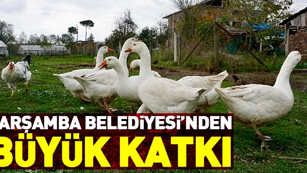 Çarşamba Belediyesi'nden kaz yetiştiriciliğine büyük katkı
