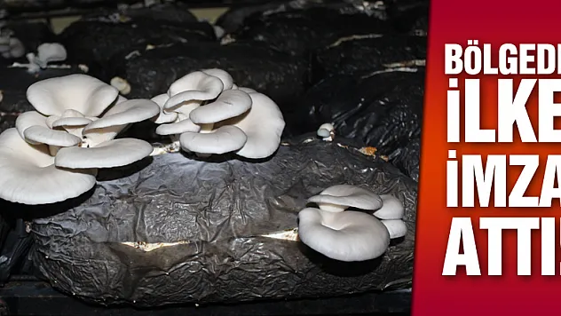 Bölgede ilke imza attı!