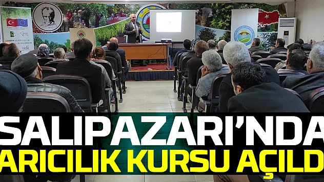 Salıpazarı ilçesinde arıcılık kursu açıldı