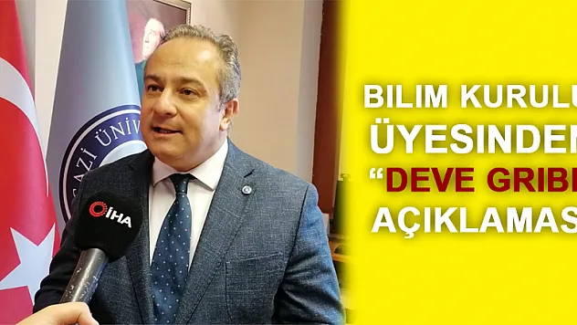 Bilim Kurulu Üyesi Prof. Dr. İlhan: 'Deve gribi için endişe etmeye gerek yok'