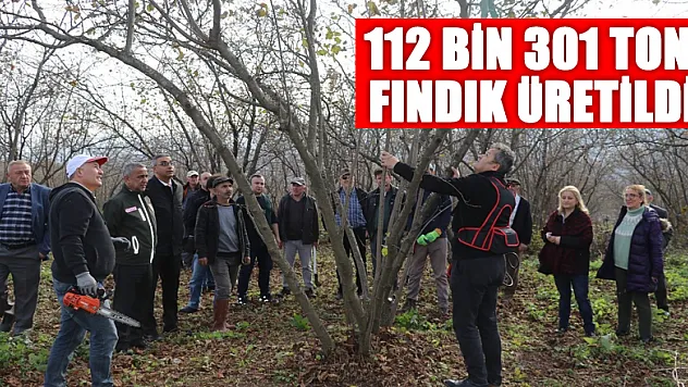 Samsun'da 2022'de 112 bin 301 ton fındık üretildi