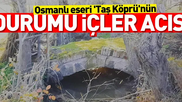 Osmanlı eseri 'Taş Köprü'nün durumu içler acısı