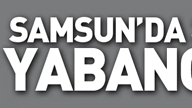 Samsun'da 39 bin 912 yabancı var