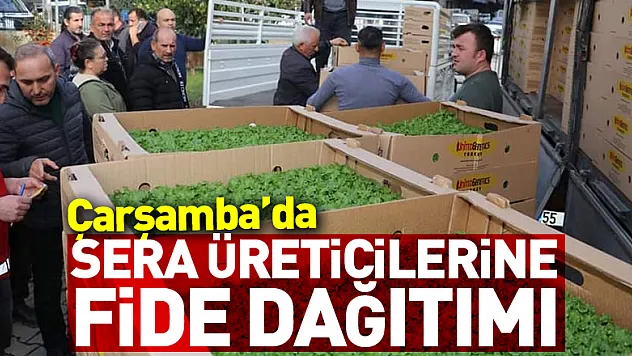 Sera Üreticilerine Fide Dağıtımı