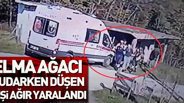 Elma ağacı budarken düşen kişi ağır yaralandı