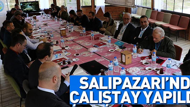 Salıpazarı ilçesinde Turizm Ortak Akıl Çalıştayı yapıldı