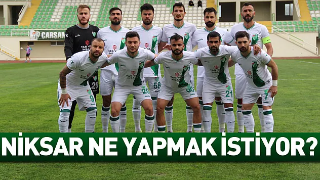 NİKSAR NE YAPMAK İSTİYOR?
