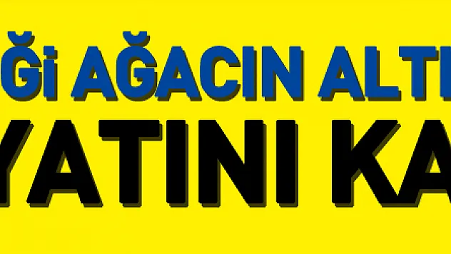 Kestiği ağacın altında kalan yaşlı adam hayatını kaybetti