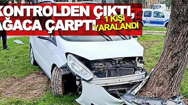Kontrolden çıktı, ağaca çarptı: 1 yaralı