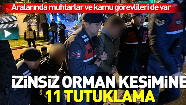 İzinsiz orman kesimine 11 tutuklama