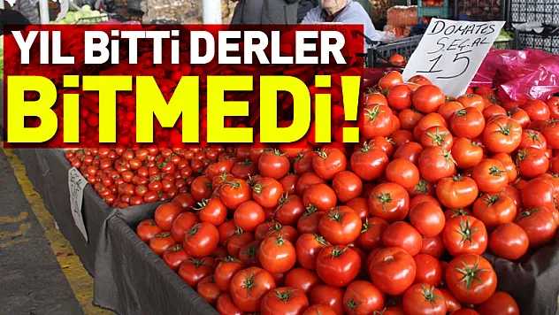 Yıl Bitti Dertler Bitmedi!