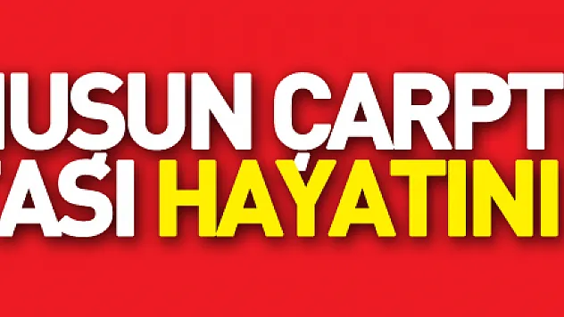 İndiği dolmuşun çarptığı diyaliz hastası hayatını kaybetti