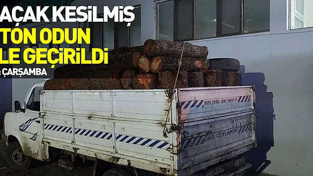 Kaçak kesilmiş 7 ton odun ele geçirildi