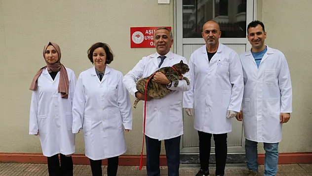 Samsun'da 29 bin 891 evcil hayvan kayıt altına alındı