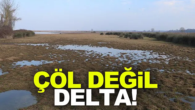 Çöl değil delta