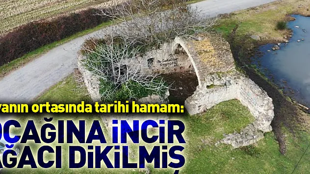 Ovanın ortasında tarihi hamam: Ocağına incir ağacı dikilmiş