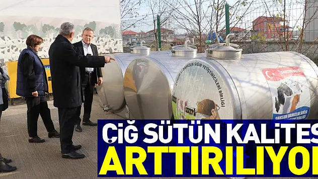 Samsun'da çiğ sütün kalitesi arttırılıyor