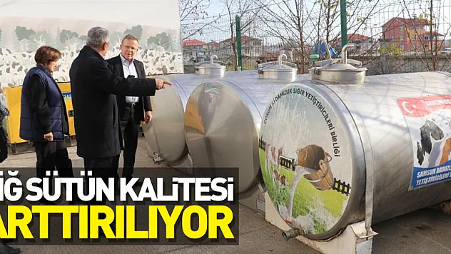 Samsun'da çiğ sütün kalitesi arttırılıyor