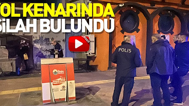 Samsun'da yol kenarındaki kovanın içinde silah bulundu