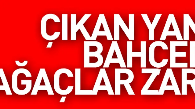 çıkan yangında bahçedeki ağaçlar zarar gördü