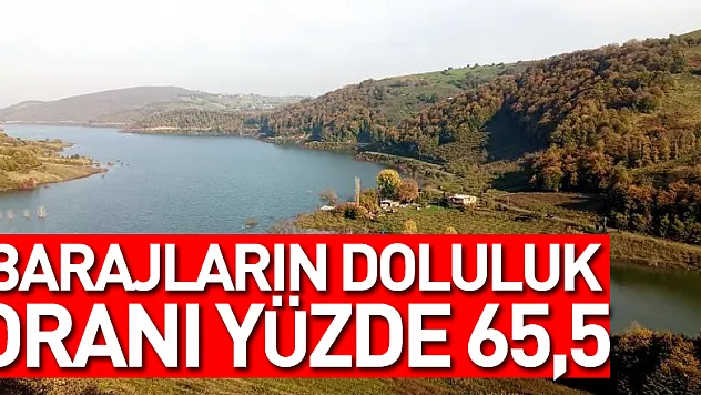 Samsun'da barajların doluluk oranı yüzde 65,5