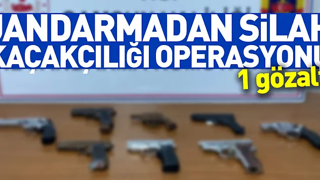 Samsun'da jandarmadan silah kaçakçılığı operasyonu: 1 gözaltı