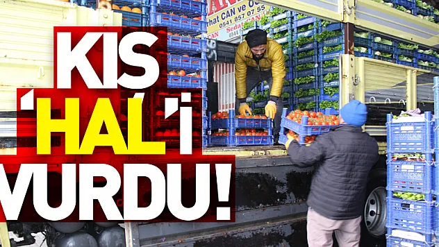 KIŞ 'HAL'İ VURDU!