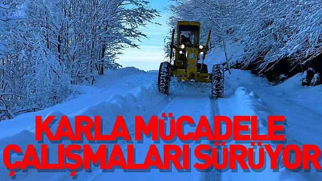 karla mücadele çalışmaları sürüyor