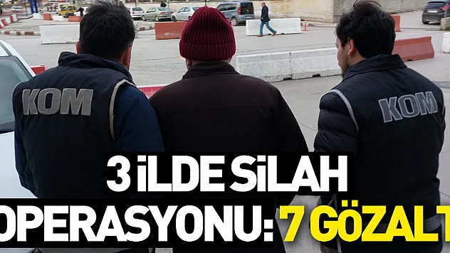 Samsun merkezli 3 ilde silah operasyonu: 7 gözaltı