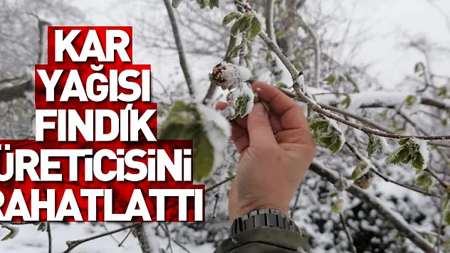 Kar yağışı fındık üreticisini rahatlattı