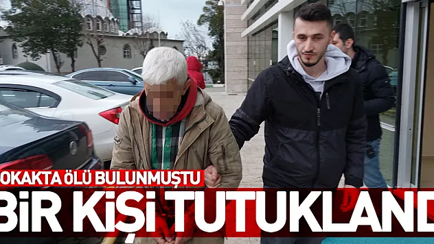 Televizyon tamircisinin sokakta ölü bulunması olayı ile ilgili bir kişi tutuklandı