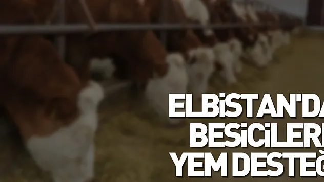 Elbistan'da besicilere ücretsiz yem desteği