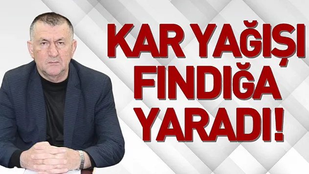 KAR YAĞIŞI FINDIĞA YARADI!