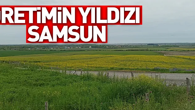 Türkiye'de tarımsal üretimin yıldızı Samsun: Birçok üründe ilk sırada