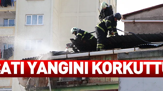 Çatı yangını korkuttu