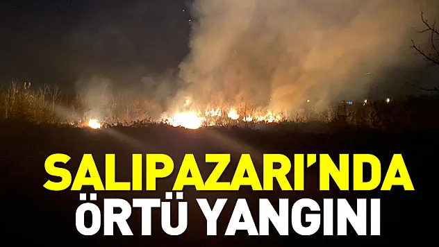 Salıpazarı'nda örtü yangını