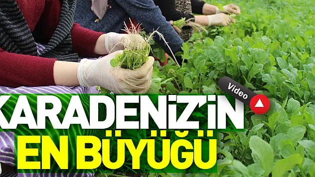 Karadeniz'in En Büyüğü