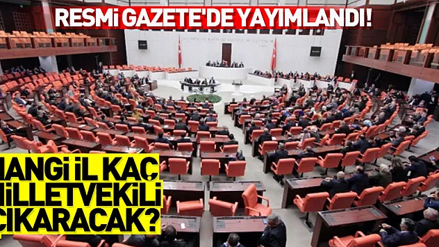 Hangi il kaç milletvekili çıkaracak? Resmi Gazete'de yayımlandı!