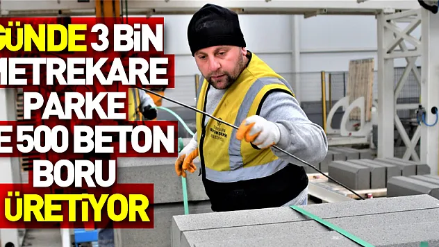 Karadeniz'in en büyüğü: Günde 3 bin metrekare parke ve 500 beton boru üretiyor
